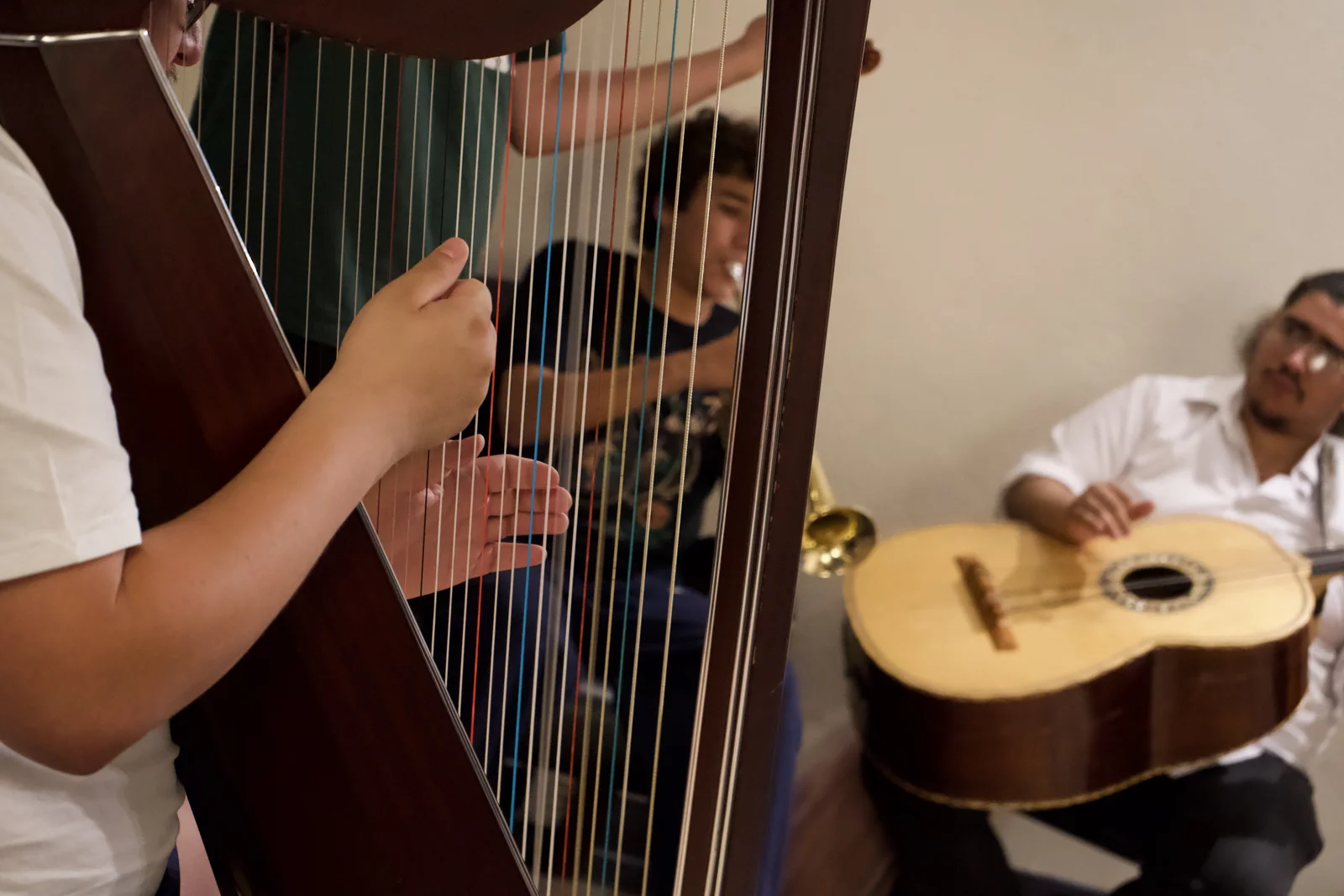 A musician plays harp while a guitarrón player sits nearby.