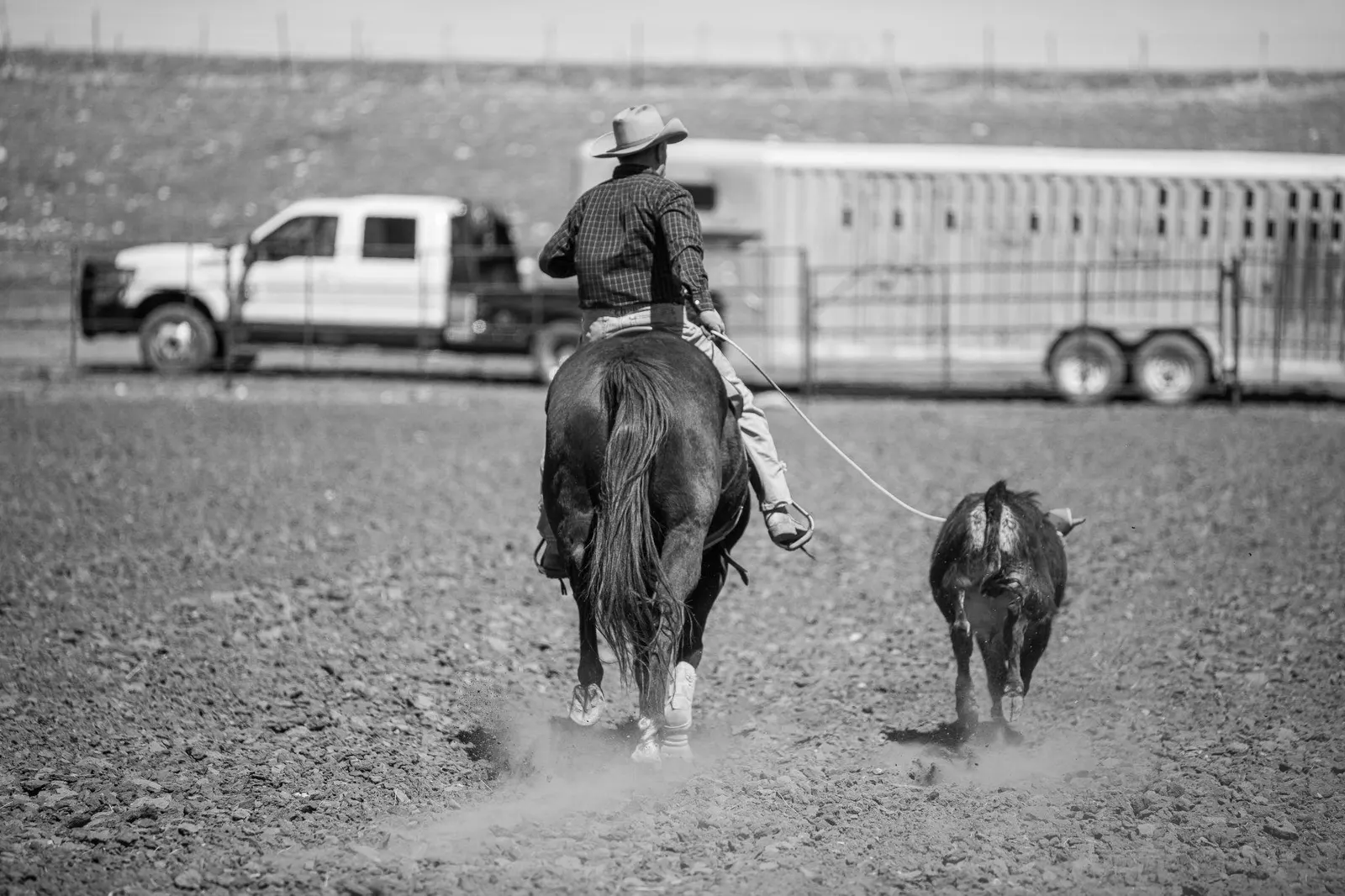 Black-and-white photograph of a saddled horse beside a ranch fence.