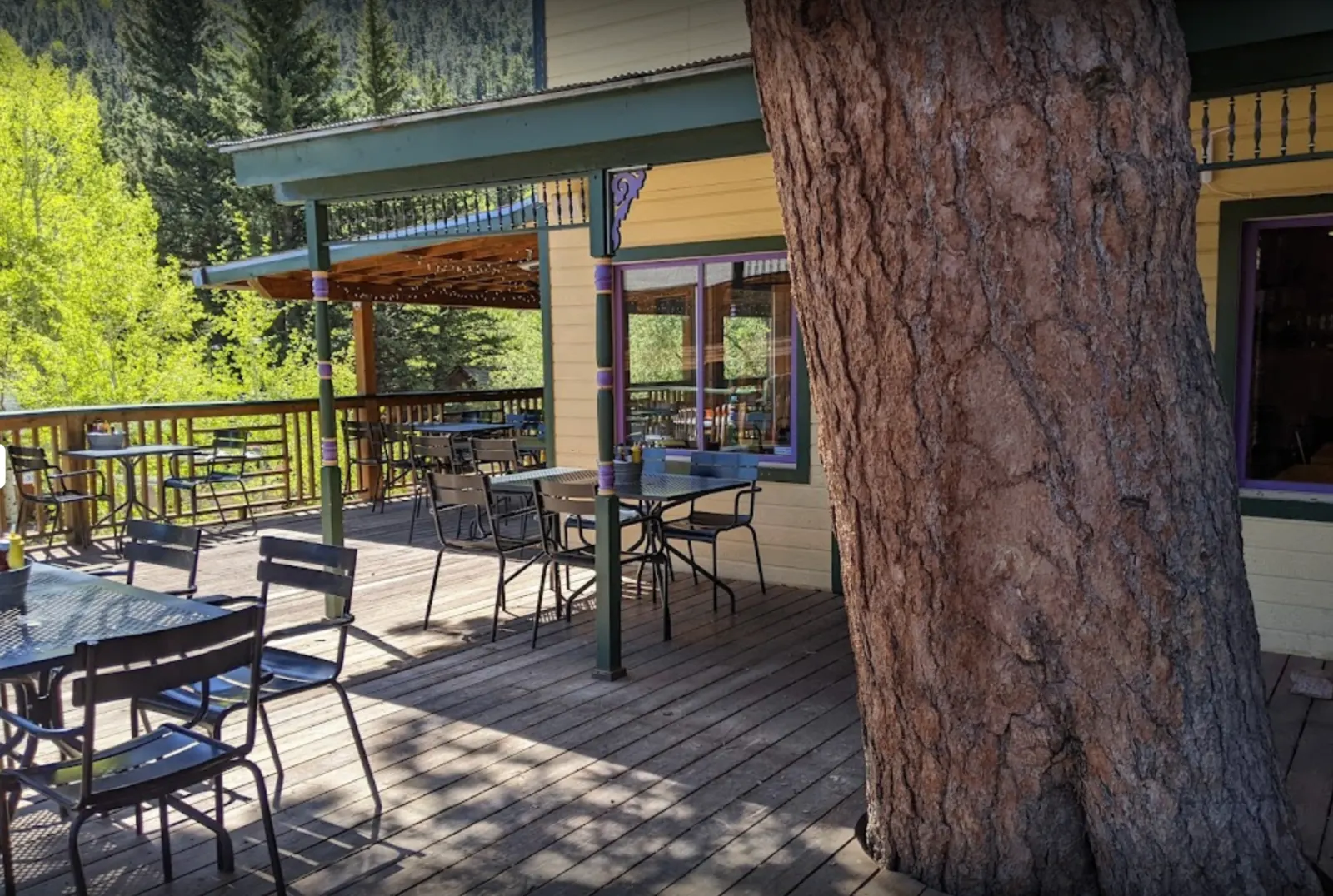 Tree-shaded outdoor patio at the Dog Bar & Grill.