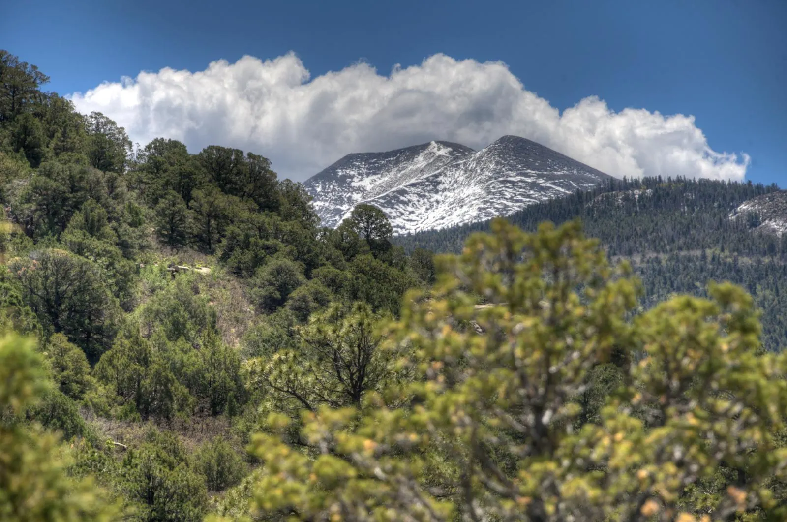 Snowy mountain ridge above Bear Lake country.