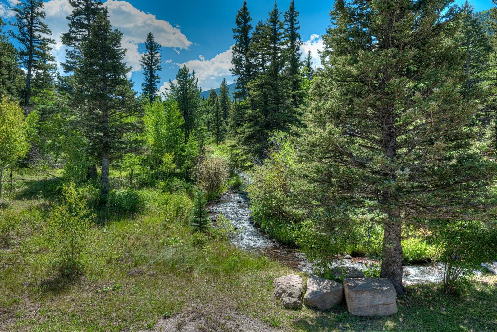 Mountain creek running between pine trees near Cuchara.