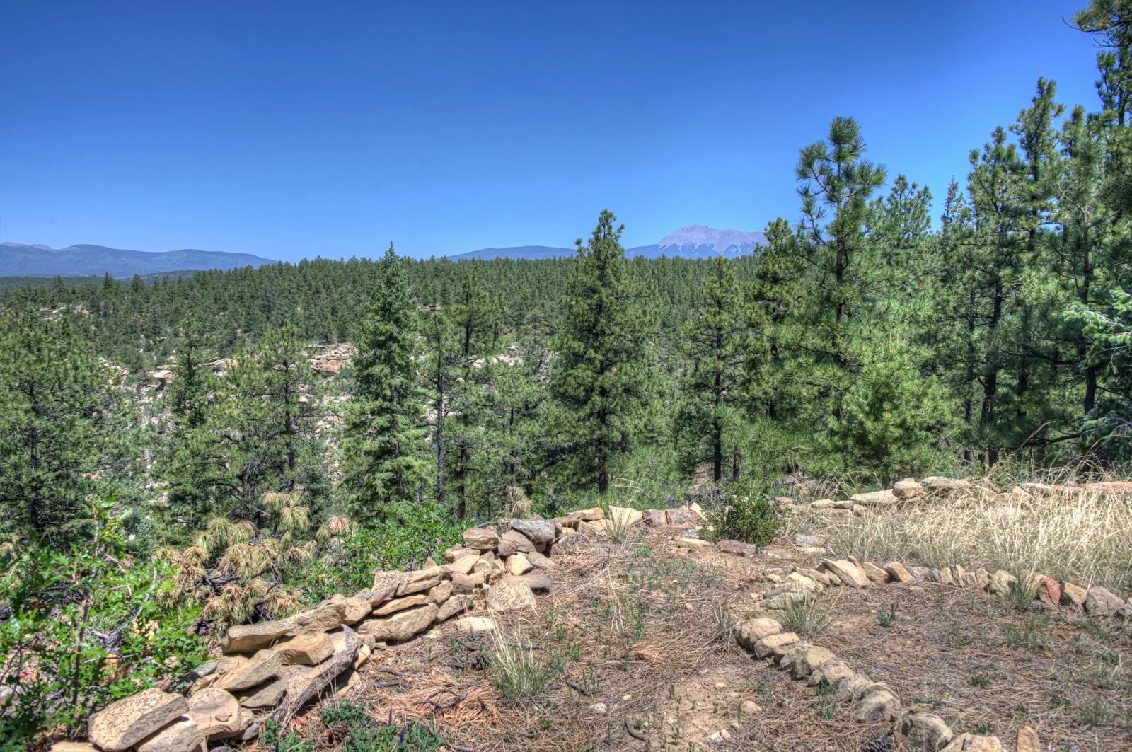 Stone-lined trail through trees near La Veta.